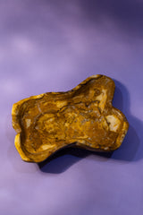 Petrified Wood Bowl