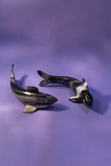 Onyx Shark