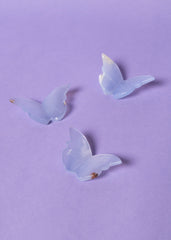 Chalcedony Butterflies
