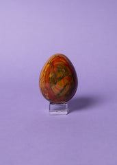 Petrified Wood Egg