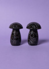 Indigo Gabbro Mushrooms