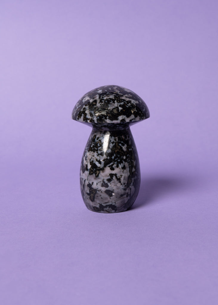 Indigo Gabbro Mushrooms