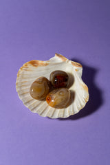 Silk Agate Tumbles