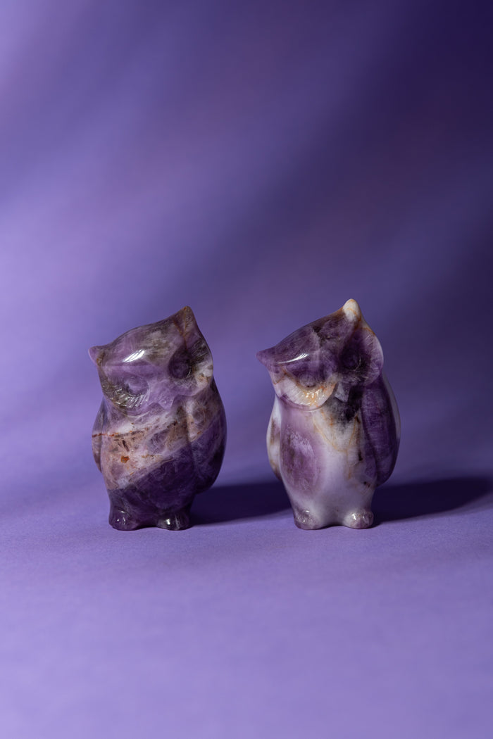 Amethyst Owl