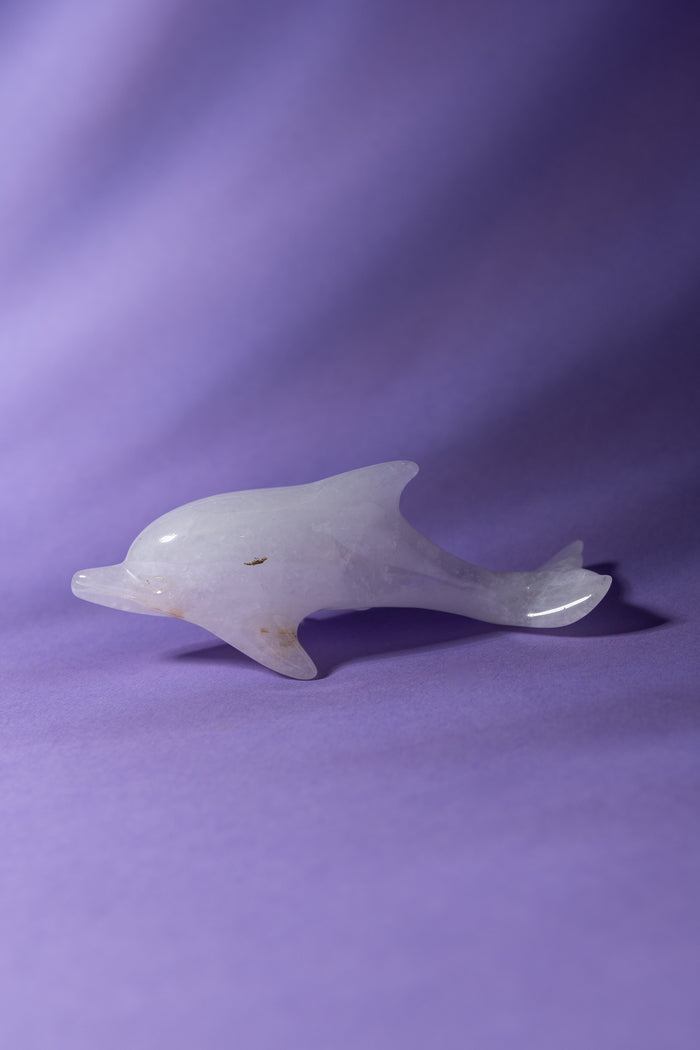 Clear Quartz Dolphin