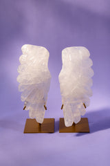 Clear Quartz Angel Wings Set