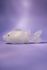 Onyx Fish