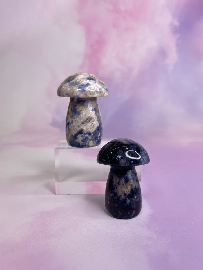 Sodalite Mushrooms