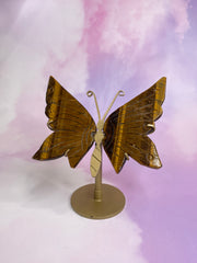 Mini Tiger's Eye Butterfly
