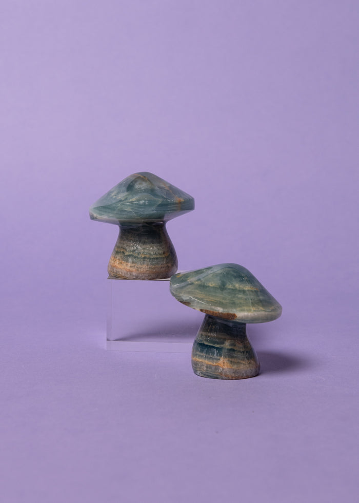 Blue Onyx Mushroom