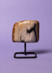 Petrified Wood Freeform on Stand