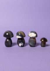 Agate Mushrooms