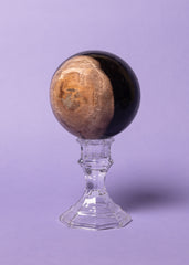 Petrified Wood Sphere