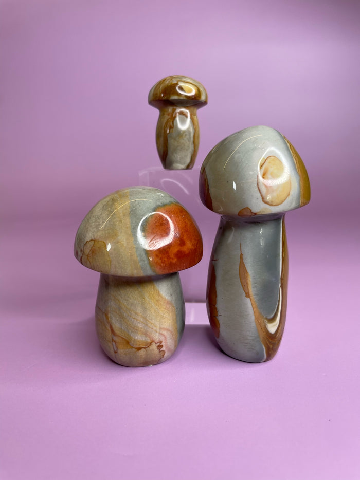 Polychrome Jasper Mushrooms