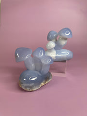 Blue Chalcedony Mushrooms