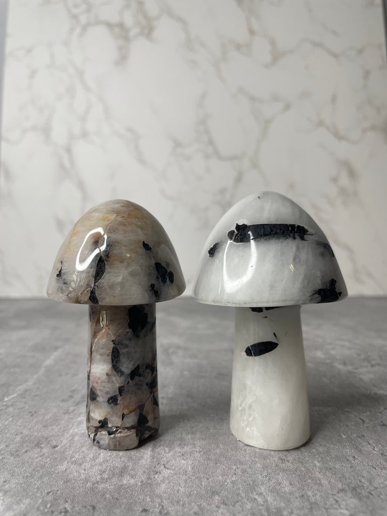 Tourmalinated Quartz Mushrooms