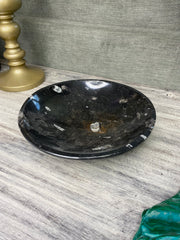 Large Orthoceras Fossil Bowl