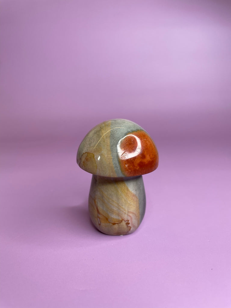 Polychrome Jasper Mushrooms