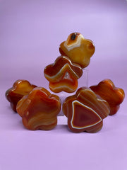 Carnelian Flower Power